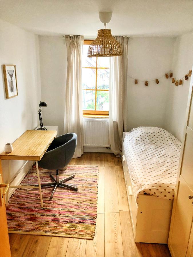 Charming Apartment Basel Border - 3 Bedrooms Hegenheim 외부 사진