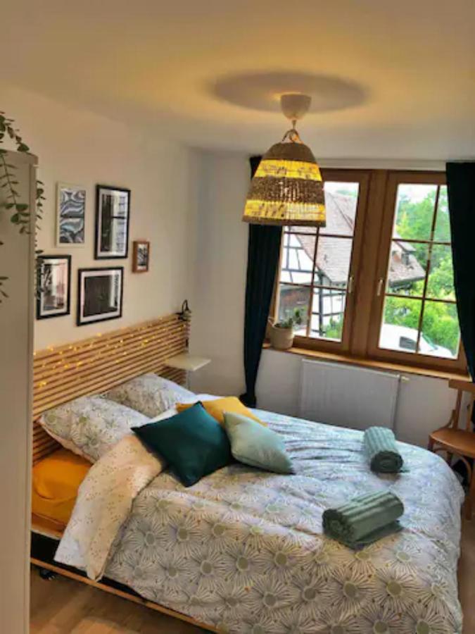 Charming Apartment Basel Border - 3 Bedrooms Hegenheim 외부 사진